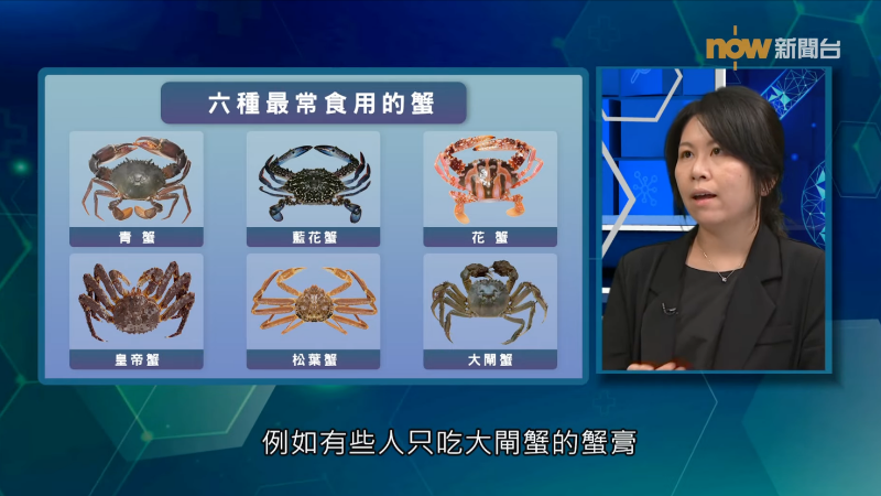 20251103【杏林在線】蟹過敏