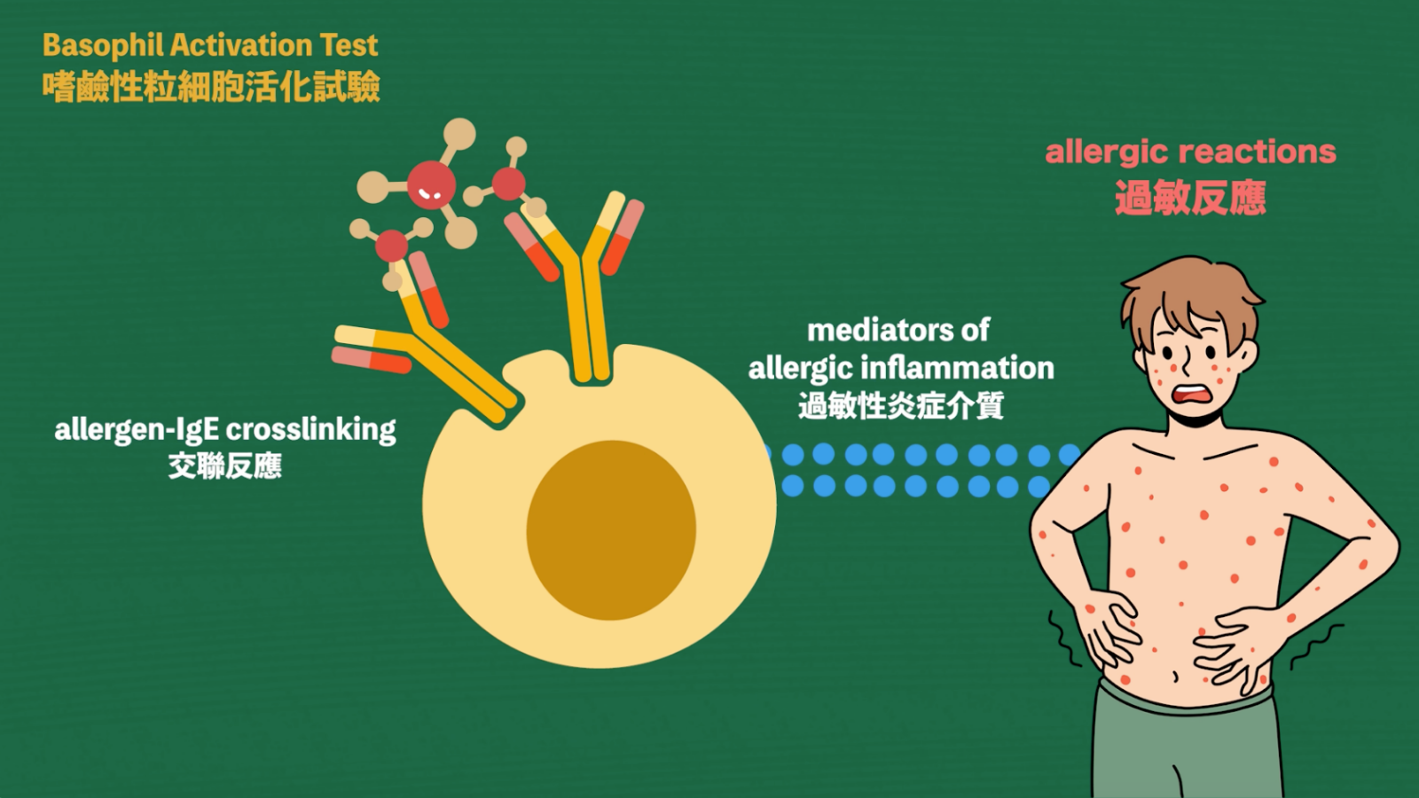 Allogic Precision Allergy Centre Basophil Activation Test, BAT Home
